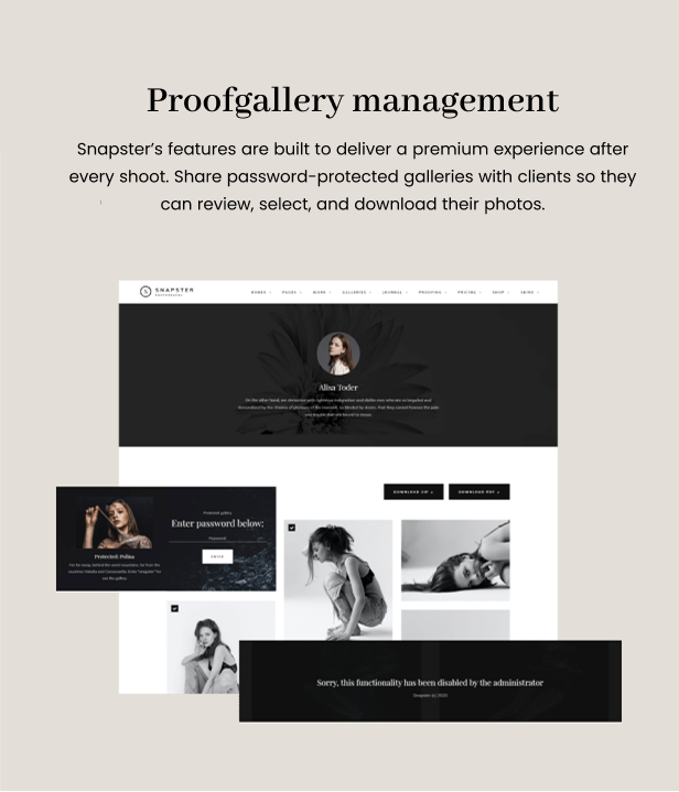 Snapster - Photography WordPress Theme - 9